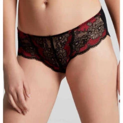 Panache Culotte Classique En Tulle Et Dentelle - Rouge