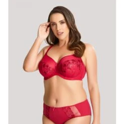Culotte Haute Sculptresse LOGAN Rouge -Panache Soldes Magasin culotte haute sculptresse logan rouge 1187821 2 1200x1200