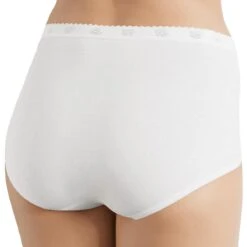 Sloggi Culotte Taille Haute Blanche -Panache Soldes Magasin culotte taille haute blanche 1207933 3 1200x1200