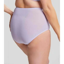 Culotte Taille Haute - Violette Sculptresse Chi Chi -Panache Soldes Magasin culotte taille haute violet 3308892 3 1140x1140