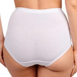 Lot De 3 Culottes Taille Haute Coton Bio - Blanc -Panache Soldes Magasin lot de 3 culottes taille haute coton bio blanc 2885935 3 1140x1140