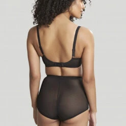 Panache Culotte Amincissante Noir -Panache Soldes Magasin panacheaw21coreenvyfullcup7285highwaist7284blacktb 1000x1333 204768 5 1140x1140