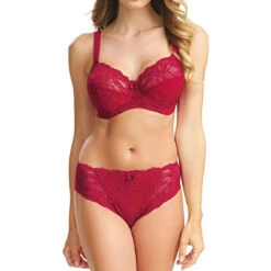 FANTASIE Culotte - Rouge -Panache Soldes Magasin slip fantasie jacqueline lace red 6 1140x1140